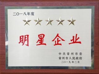 常寶股份榮獲“工業(yè)五星級企業(yè)”、“納稅金獎”等多項大獎156.png
